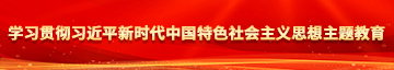 操白嫩b视频学习贯彻习近平新时代中国特色社会主义思想主题教育